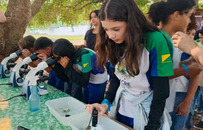 minucurso-vida-de-inseto-estimula-aprendizado-cientifico-entre-alunos-da-escola-zuleide-pereira