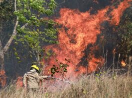 2822 governo reforca emergencia ambiental no acre por conta do agravamento da estiagem