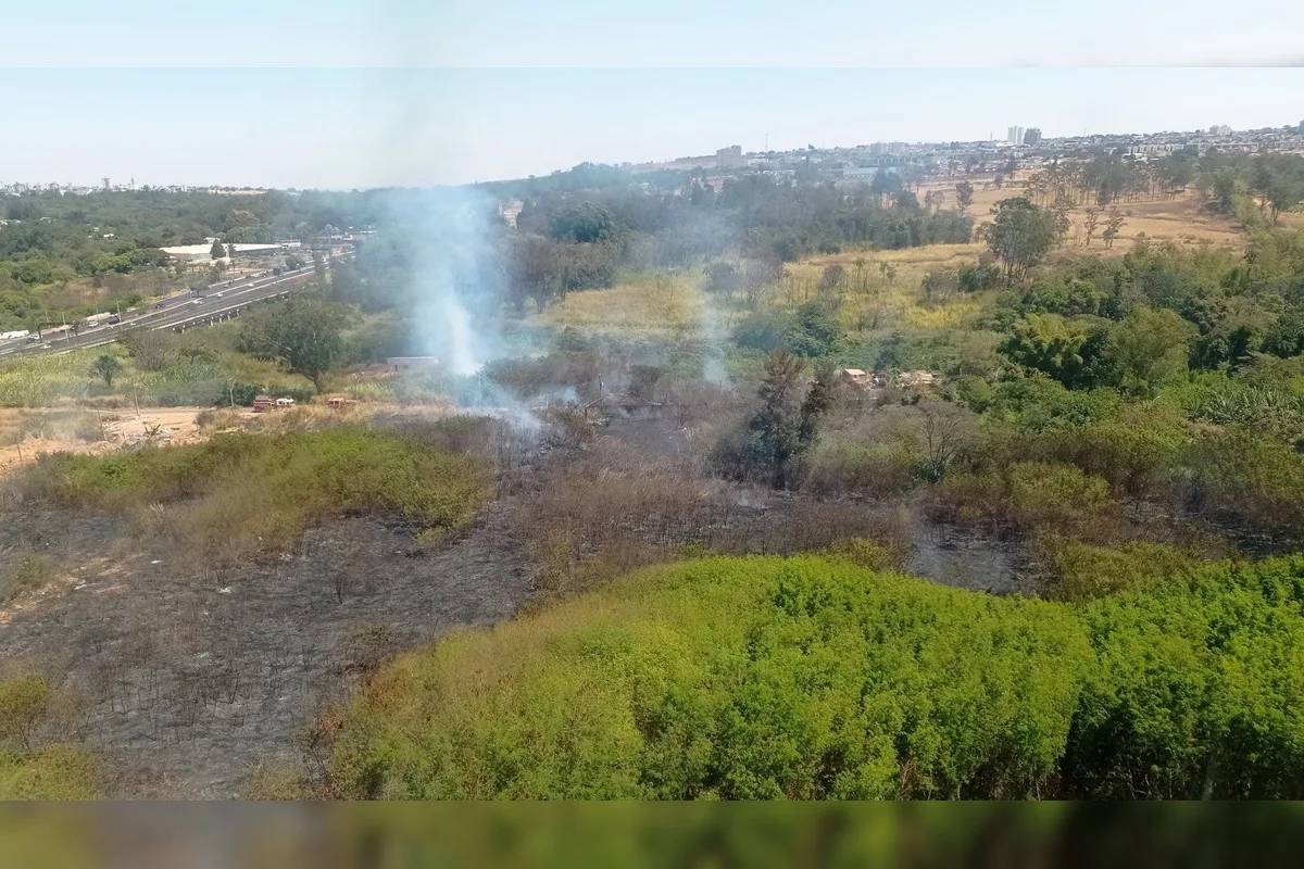 2830 incendio em mata perto de quadra de predio no df assusta moradores
