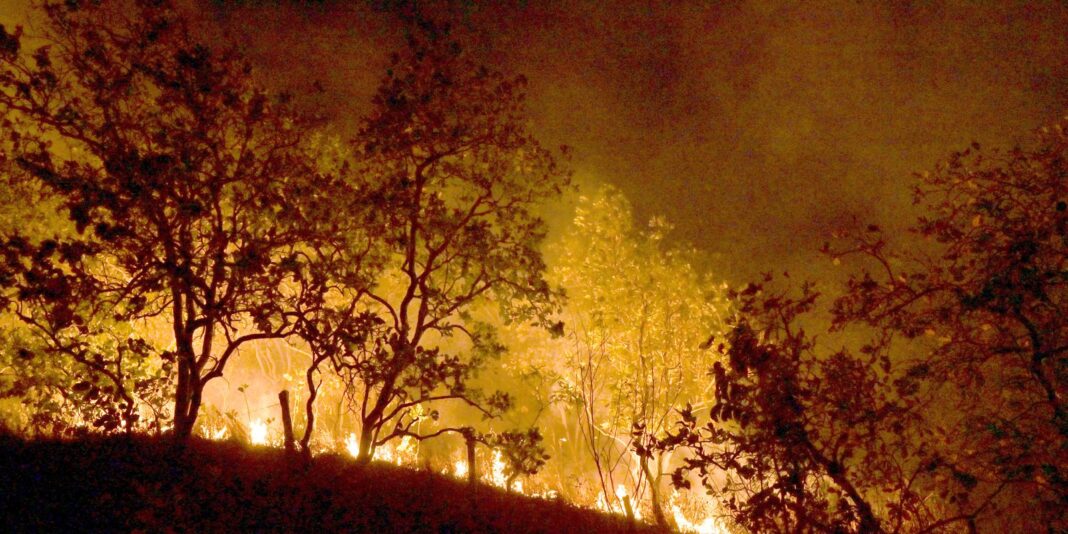 incendios:-governo-vai-concentrar-acoes-em-21-municipios-da-amazonia