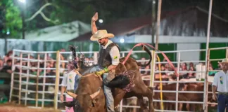 Rodeio com shows gratuitos promete movimentar parque de exposições a partir do primeiro dia da Expoacre 3841 rodeio com shows gratuitos promete movimentar parque de exposicoes a partir do primeiro di66ca17e73c007