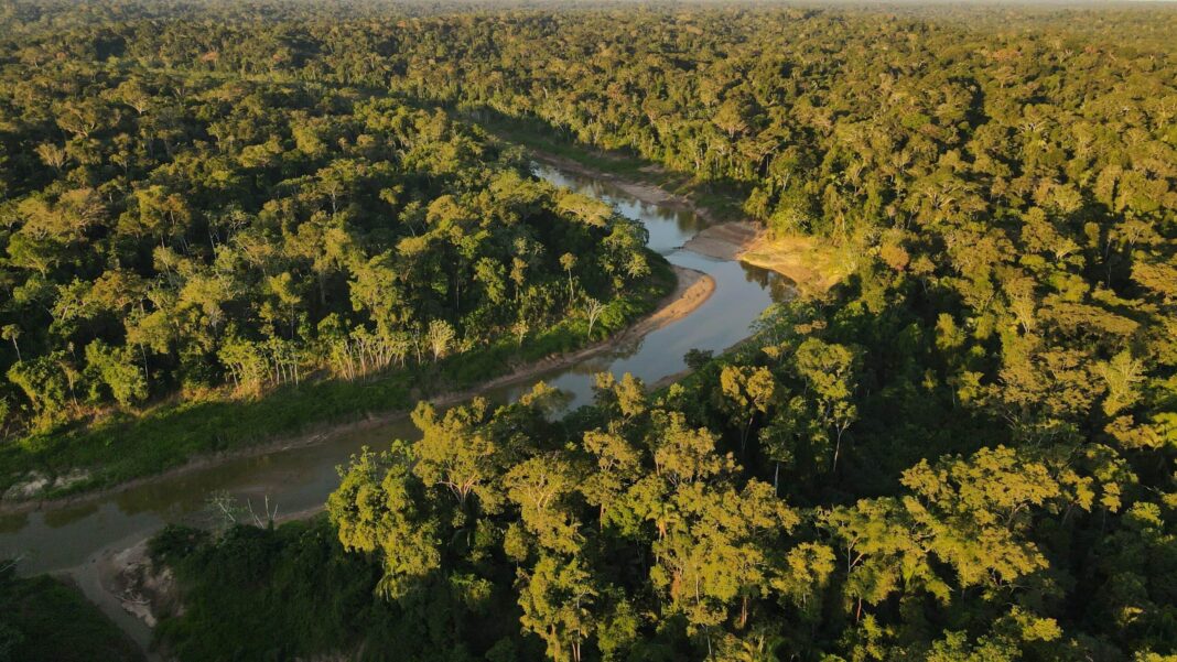 governo-do-acre-realiza-seminario-para-comemorar-20-anos-do-parque-estadual-chandless