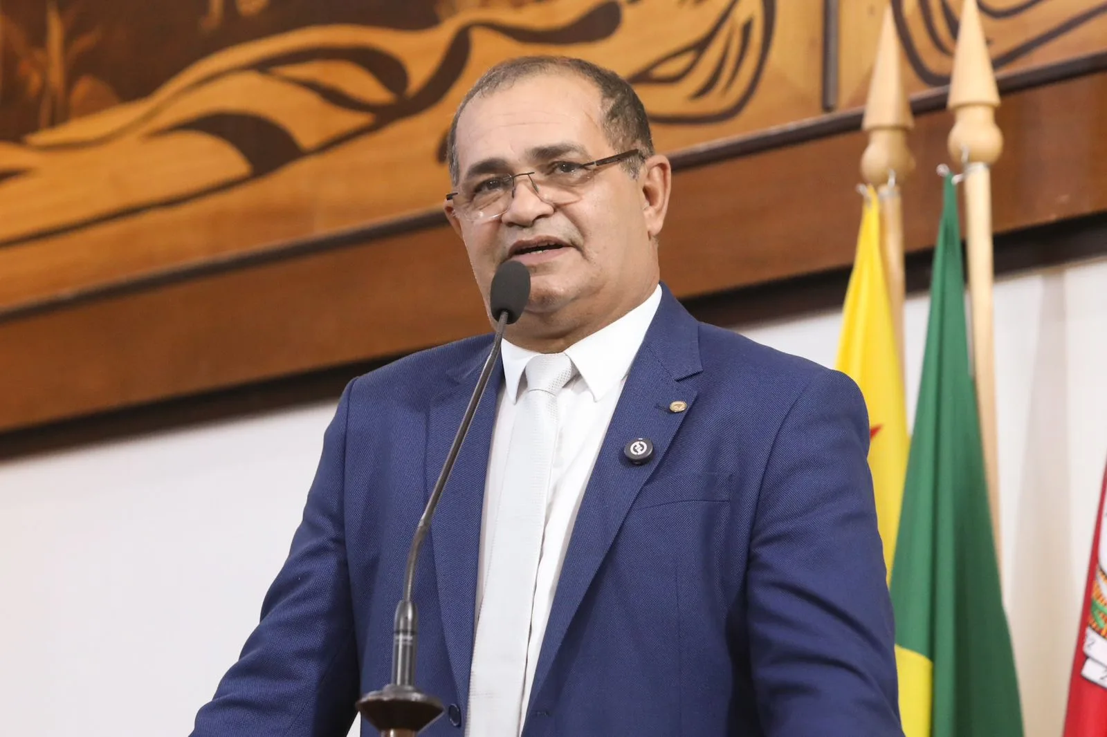 4461 tanizio sa destaca avancos e desafios em santa rosa durante sessao na aleac