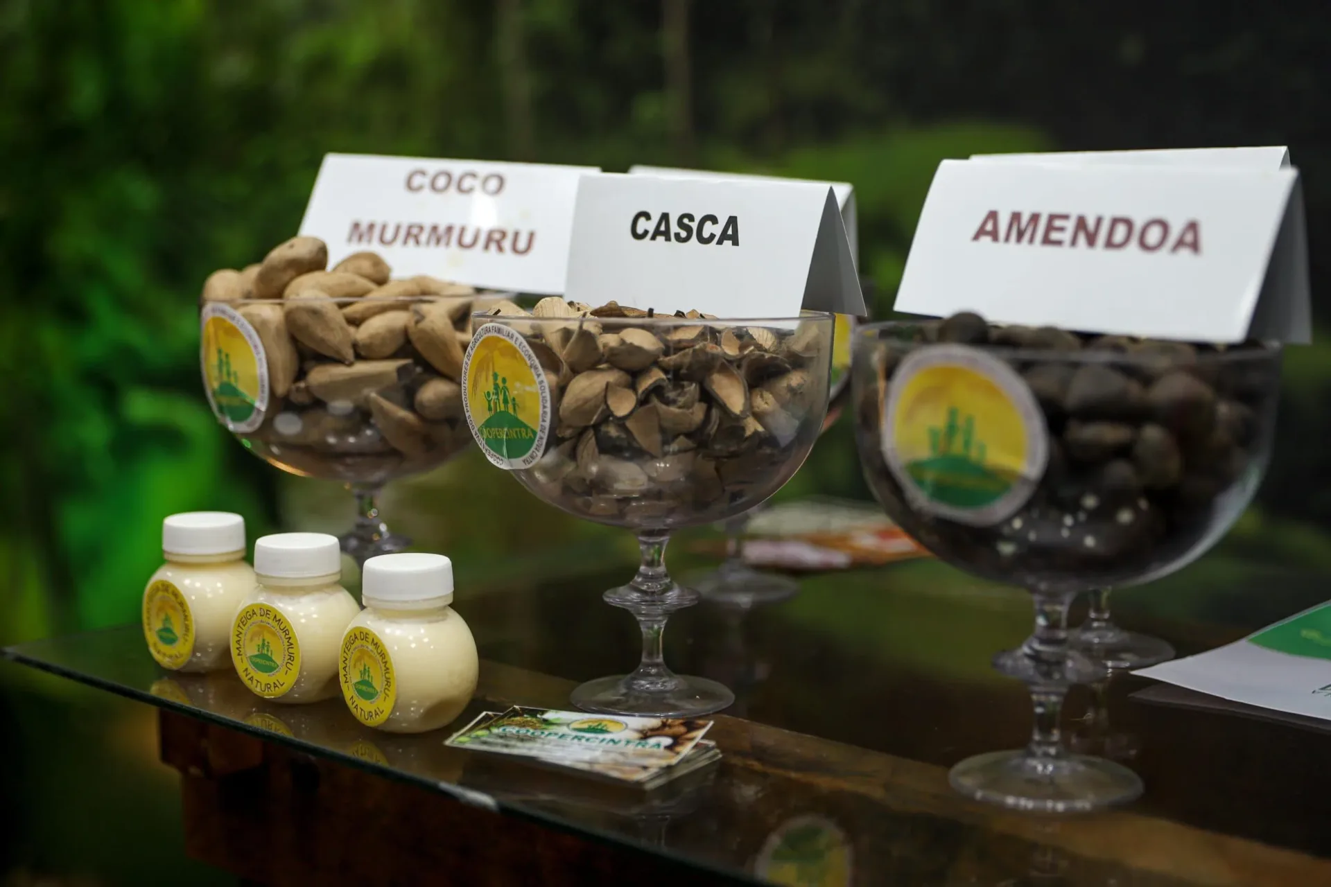 5481 funtac promove sociobiodiversidade acreana na expoacre