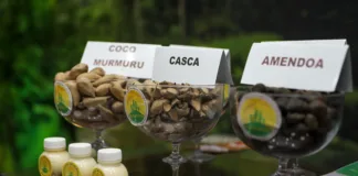 Funtac promove sociobiodiversidade acreana na Expoacre 5481 funtac promove sociobiodiversidade acreana na expoacre