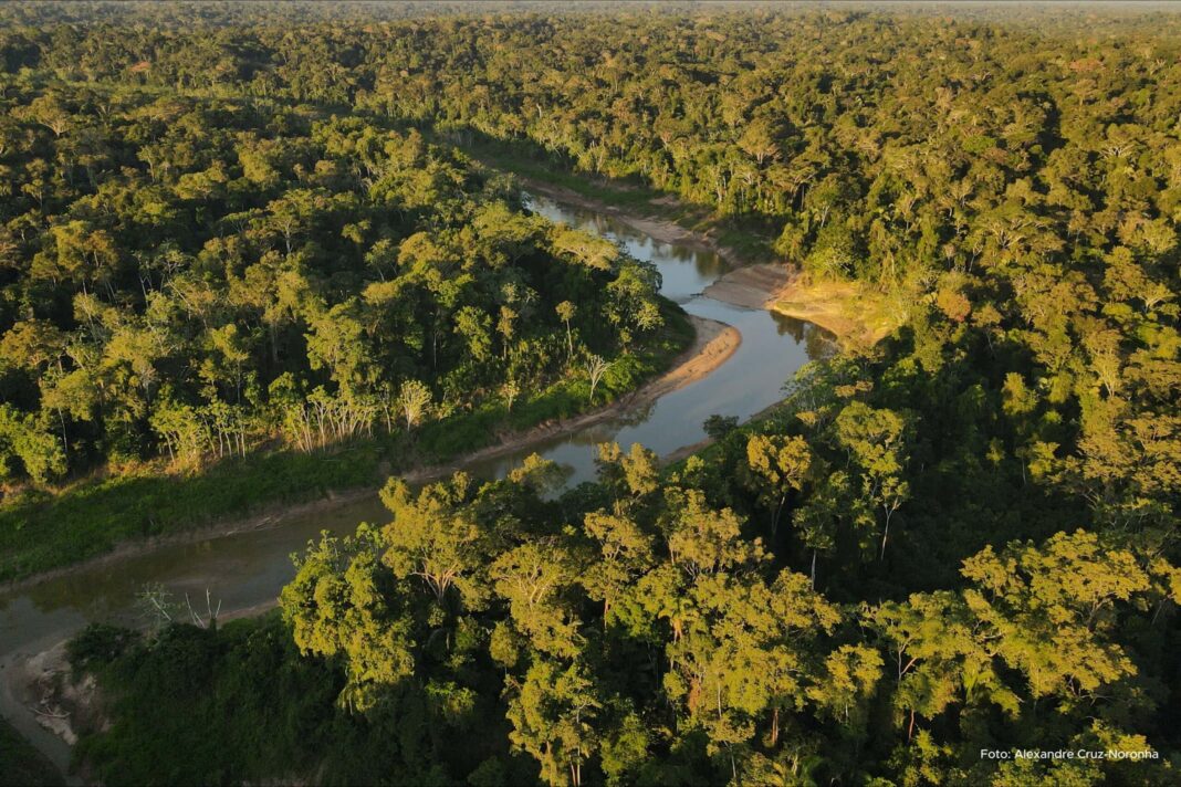 dia-da-amazonia:-acre-reafirma-compromisso-com-a-conservacao-do-bioma-fundamental-para-o-equilibrio-climatico-e-ambiental-do-planeta