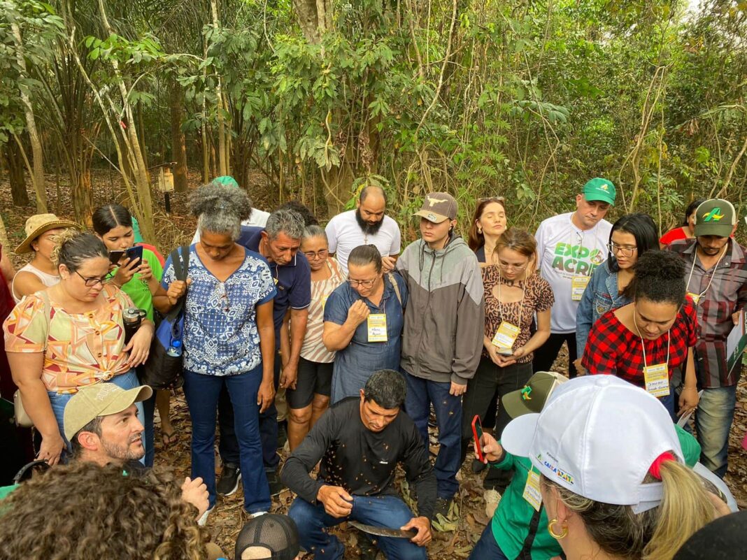 estado-promove-ciclo-de-palestras-sobre-a-cadeia-produtiva-do-mel