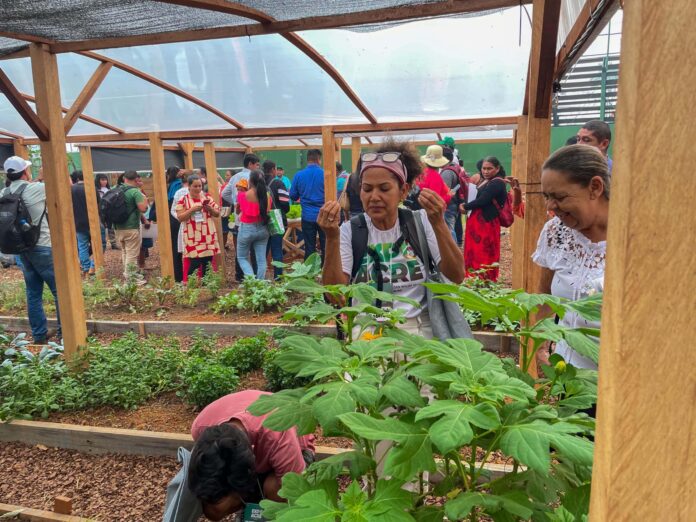 governo-realiza-ciclo-de-palestras-sobre-olericultura-durante-a-expoacre governo-realiza-ciclo-de-palestras-sobre-olericultura-durante-a-expoacre