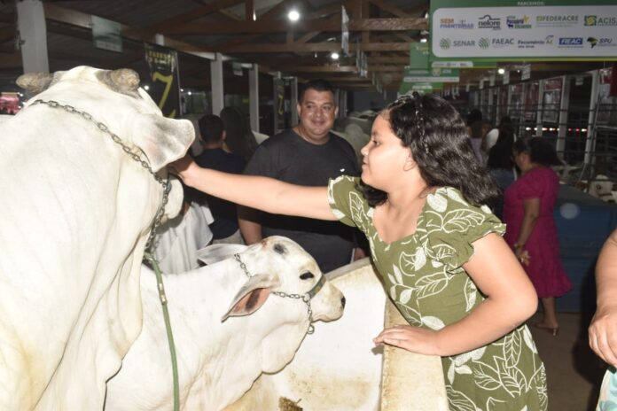 exposicao-de-touros-de-elite-chama-a-atencao-na-expoacre