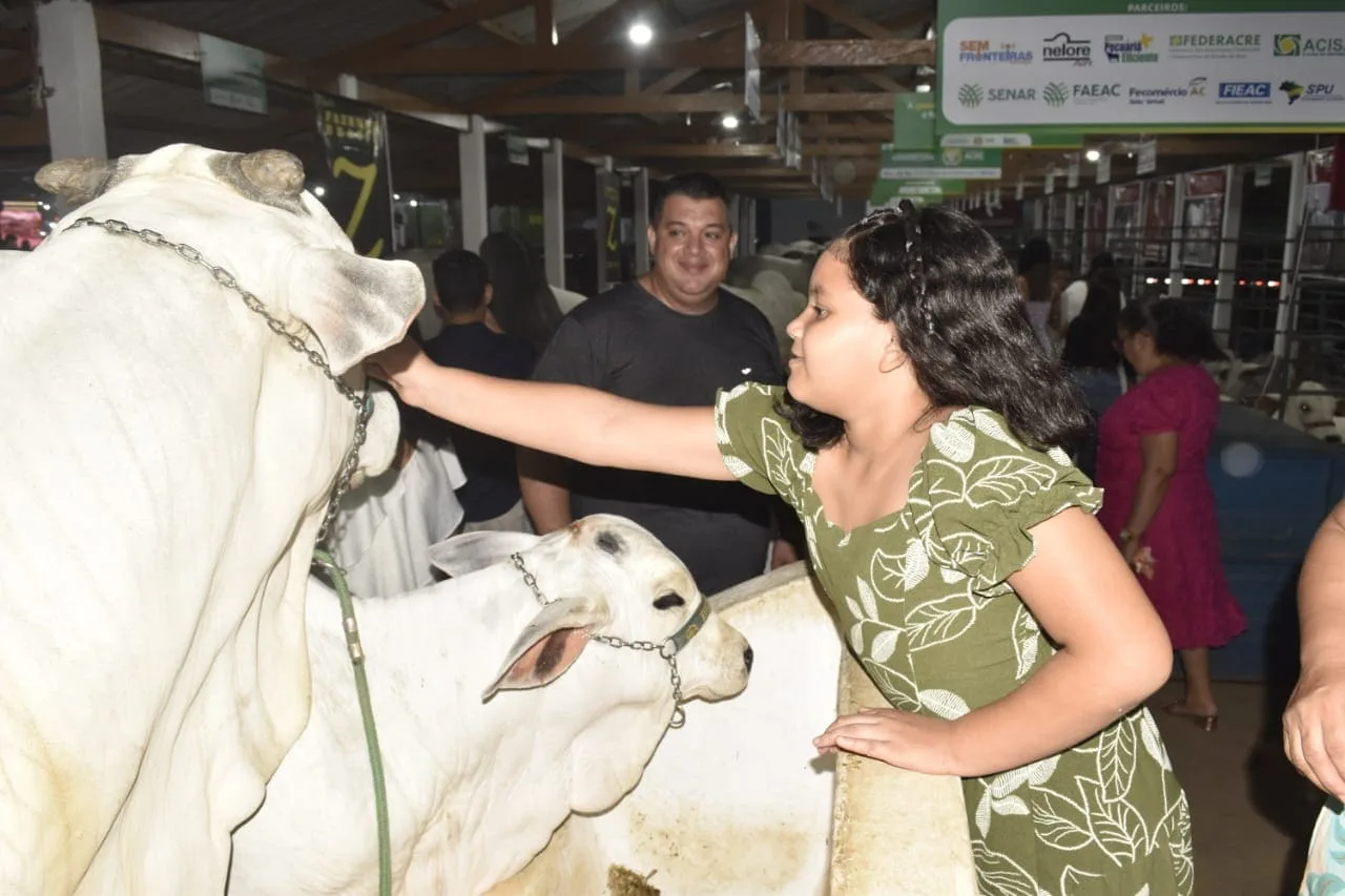 6158 exposicao de touros de elite chama a atencao na expoacre