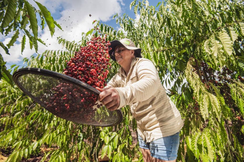 acre-tem-mais-de-95-mil-hectares-de-area-plantada,-chegando-a-738,9-milhoes-de-valor-da-producao