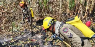 7542 em parceria com os municipios e a uniao estado atua no combate as queimadas no jurua