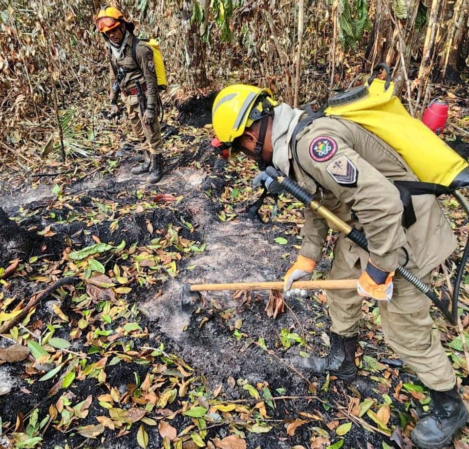 em-parceria-com-os-municipios-e-a-uniao,-estado-atua-no-combate-as-queimadas-no-jurua