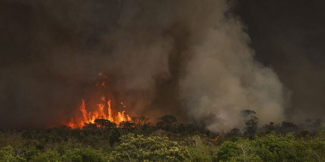 incendios-podem-ter-afetado-mais-de-11-milhoes-de-pessoas-no-brasil