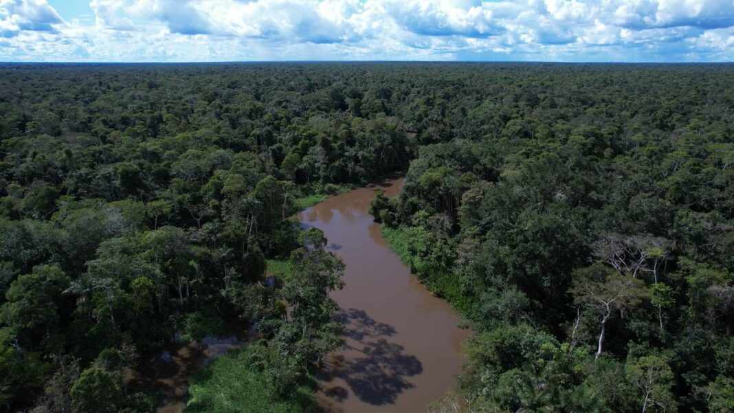 rumo-ao-desmatamento-ilegal-zero:-recursos-do-fundo-amazonia-para-combater-desmatamento-e-queimadas-seguem-em-execucao-prioritaria-pelo-governo-do-acre