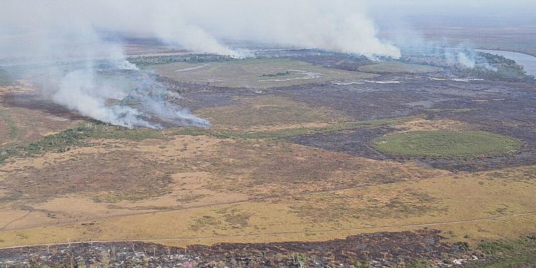 emissao-de-gases-por-incendios-e-recorde-em-dois-estados