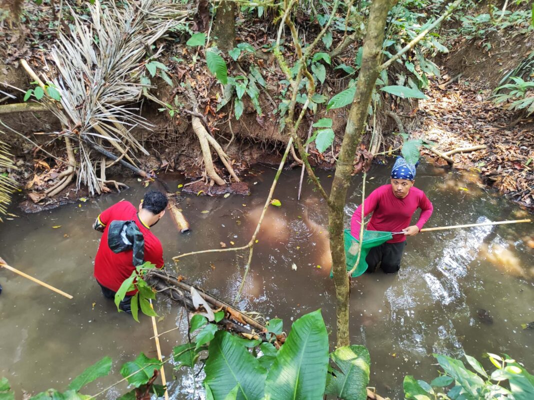 oficina-sobre-monitoramento-da-biodiversidade-ministrada-por-docentes-da-ufac-e-ifac-e-realizada-no-complexo-de-florestas-do-rio-gregorio em tarauaca