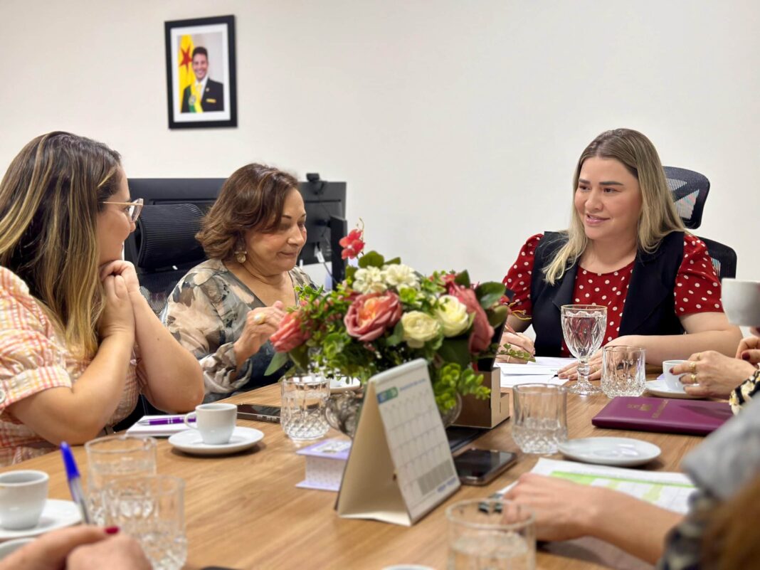 semulher-se-reune-com-orgaos-do-sistema-de-justica-para-fortalecimento-da-rede-de-atendimento-a-mulher-nos-municipios-isolados