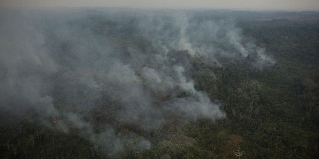 agu-cobra-r$-89-milhoes-de-acusados-de-causar-queimadas-na-amazonia