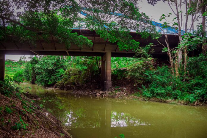 governo-do-acre-e-instituicoes-parceiras-iniciam-limpeza-do-igarape-sao-francisco governo-do-acre-e-instituicoes-parceiras-iniciam-limpeza-do-igarape-sao-francisco