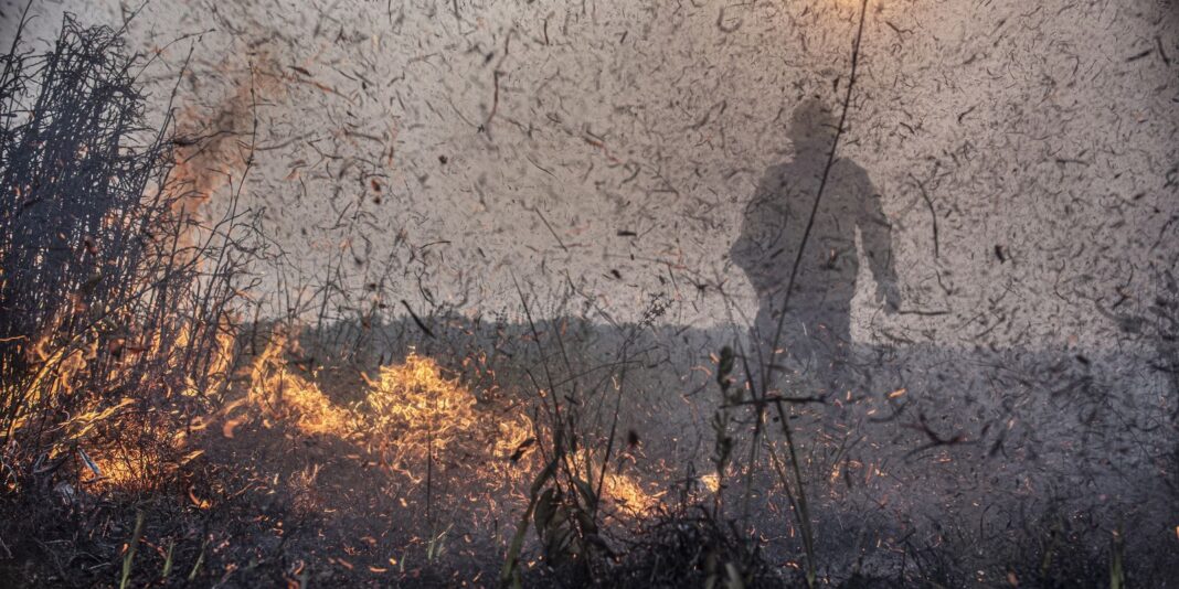 focos-de-incendios-no-brasil-ja-sao-76%-maiores-que-em-2023