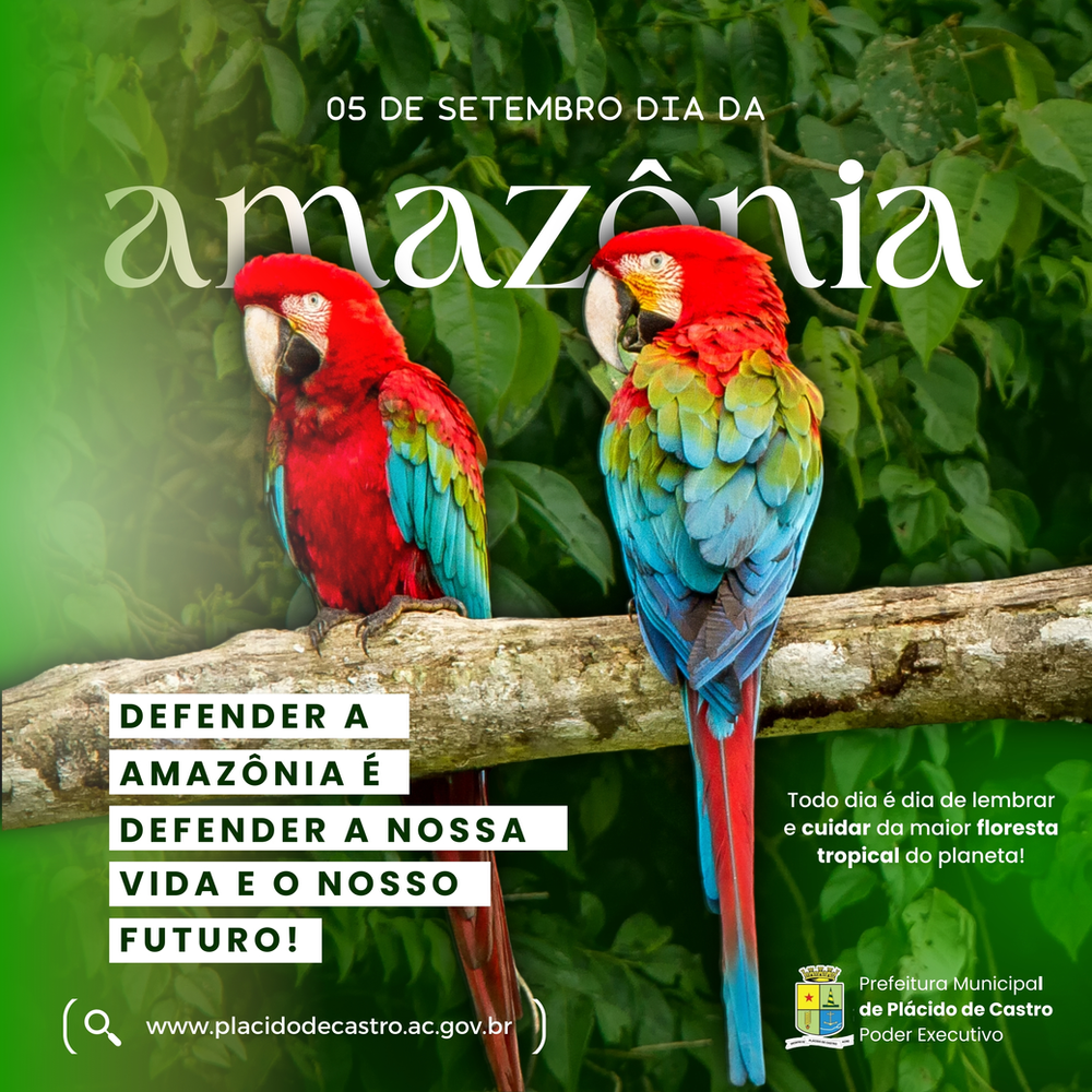 05-de-setembro:-dia-da-amazonia