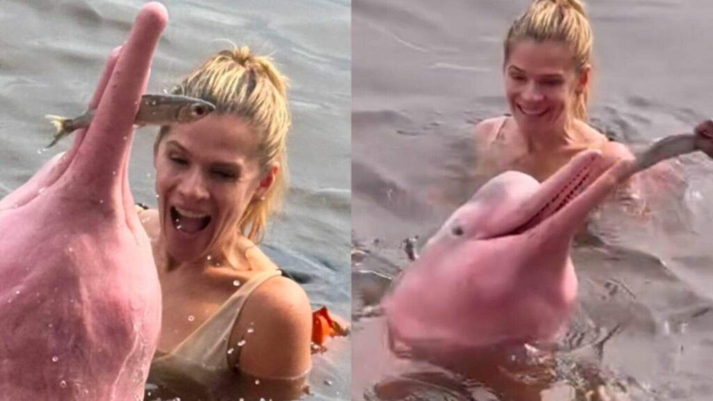 ingrid-guimaraes-e-surpreendida-por-boto-cor-de-rosa-em-manaus