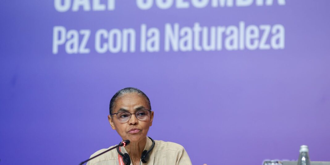 na-cop16,-marina-silva-defende-fundo-para-remunerar-povos-tradicionais