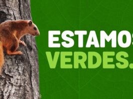 QUANDO ESTAMOS VERDE