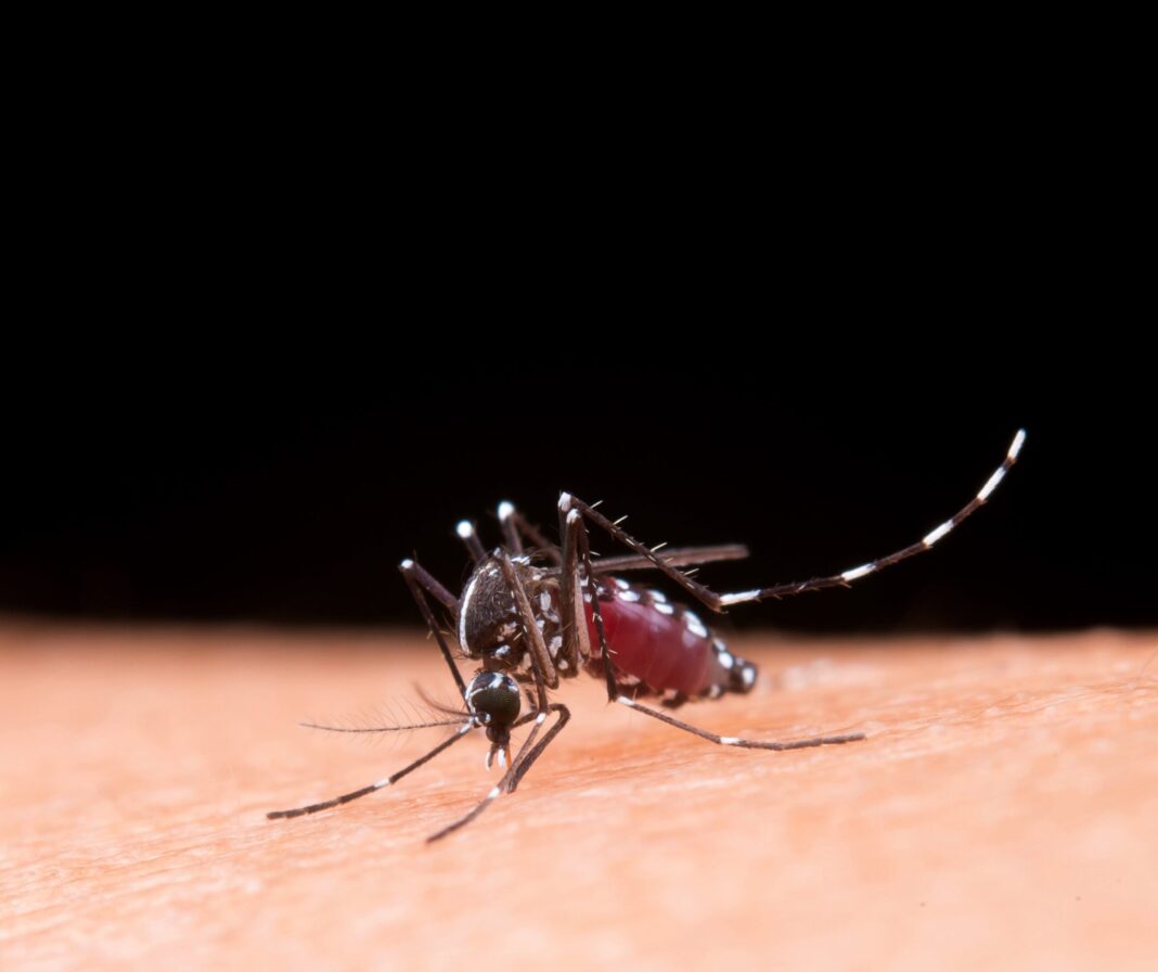 saude-do-acre-intensifica-acoes-para-combater-a-dengue-com-foco-na-prevencao-e-monitoramento