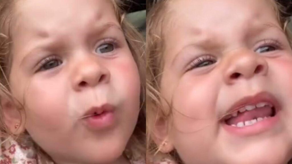 Maria Alice e Maria Flor fazem dia de safári e encantam – Cidade AC News maria-alice-e-maria-flor-fazem-dia-de-safari-e-encantam