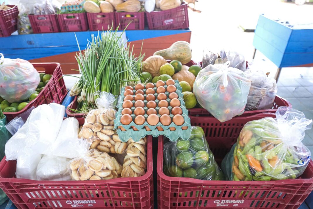 secretaria-de-agricultura-articula-criacao-do-programa-de-aquisicao-de-alimentos-estadual-para-expandir-beneficios-a-pequenos-produtores