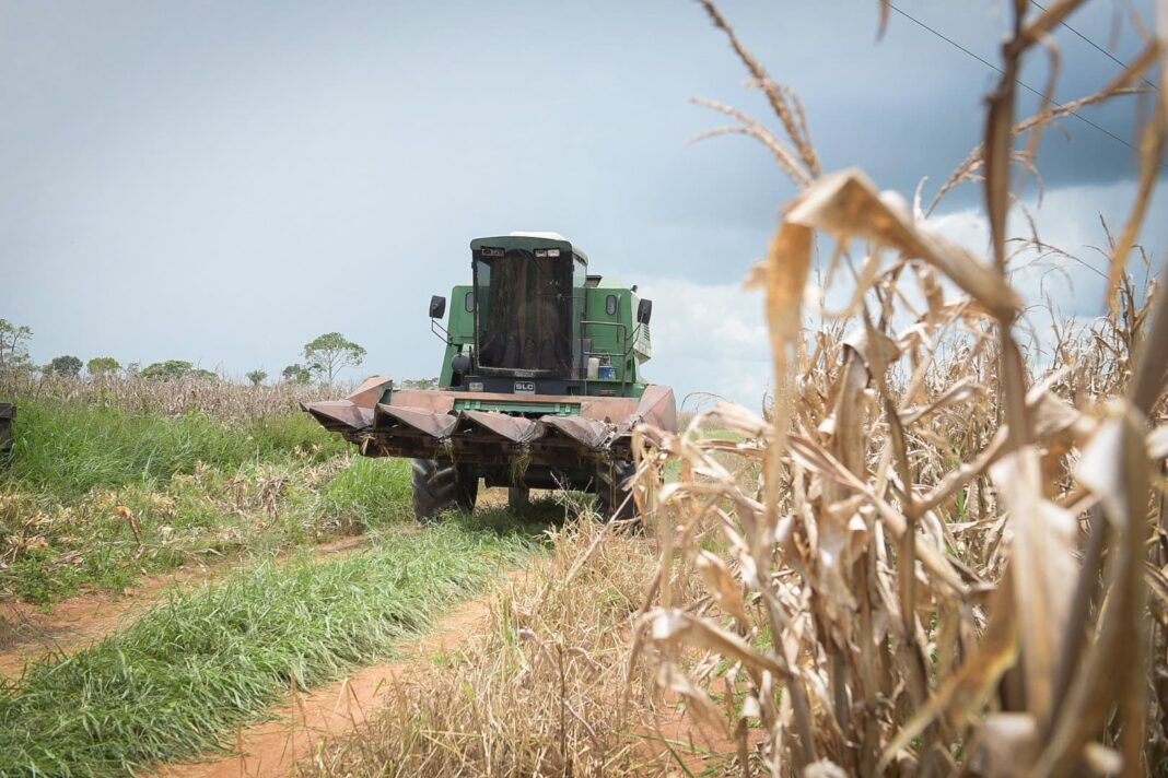 ibge-divulga-que-pib-do-acre-cresceu-6%-em-2022-e-agropecuaria-aumenta-participacao-na-economia