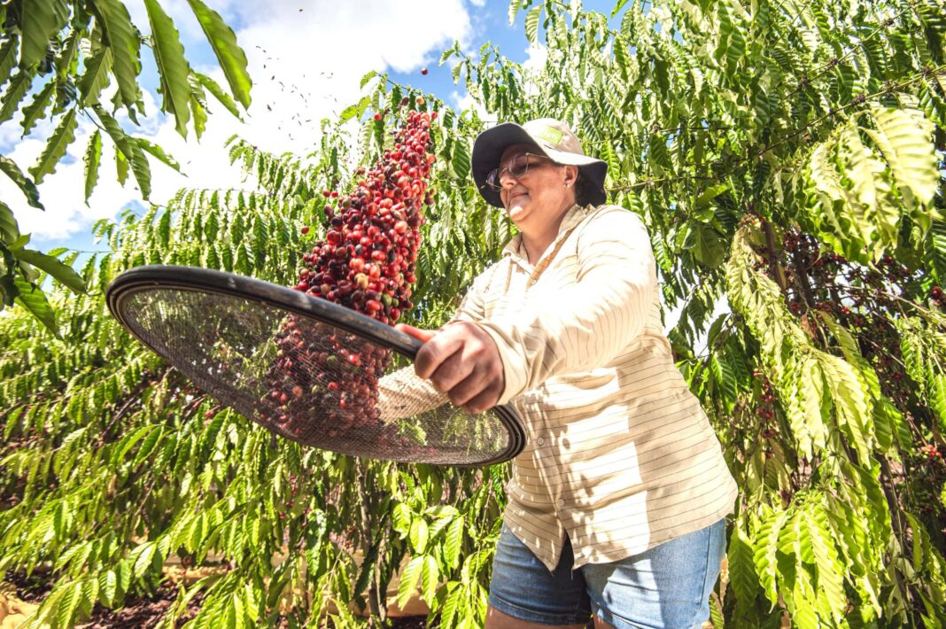 governo-garante-liberacao-de-recursos-para-apoio-a-pequenos-produtores-de-agricultura-familiar-do-estado