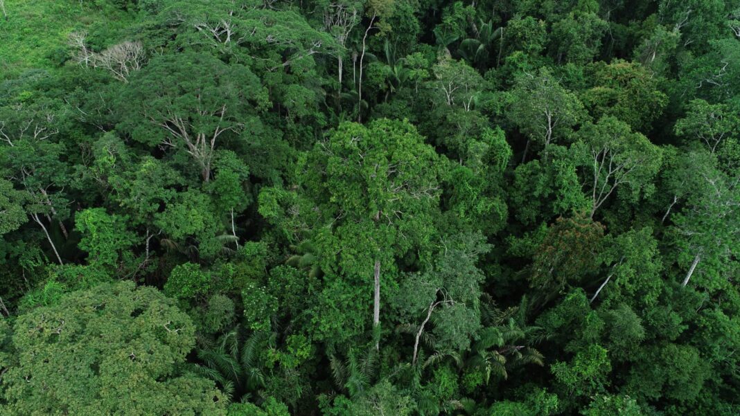 governo-do-acre-anuncia-realizacao-da-5a-conferencia-estadual-do-meio-ambiente-com-o-tema-“emergencia-climatica:-os-desafios-da-transformacao-ecologica”