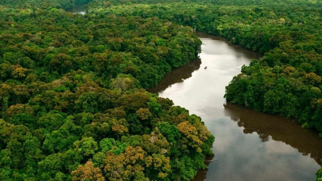 com-vagas-para-o-acre,-iniciativa-amazonia+10-lanca-programa-de-residencia-na-amazonia-legal