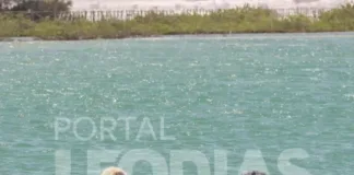 17305 alessandra negrini faz viagem romantica com o personal por ceara