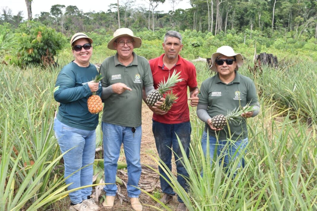 extensionistas-da-emater-levam-apoio-tecnico-para-produtores-de-abacaxi-da-comunidade-de-humaita