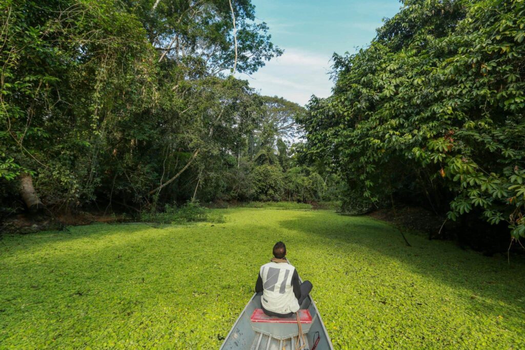 Acre propõe projetos de turismo regenerativo na comunidade Croa e Trilha Chico Mendes na COP 29 | Cidade AC News – Notícias do Acre