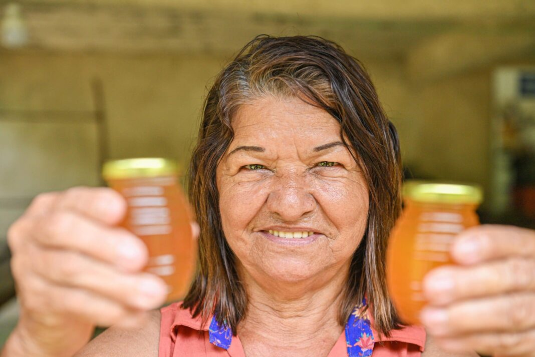 cultura-de-criacao-de-abelhas-sem-ferrao-garante-destaque-a-produtora-acreana-em-concurso-nacional