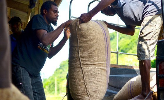 onu-debate-solucoes-para-impactos-da-crise-do-clima-no-mercado-de-commodities