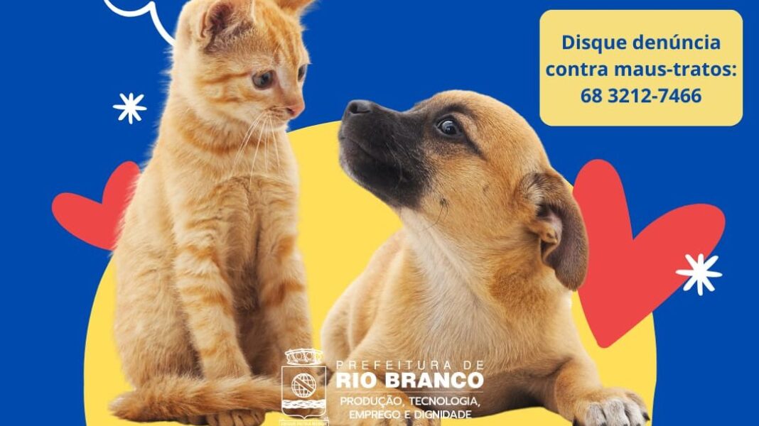 no-dia-internacional-dos-direitos-dos-animais,-conheca-o-conselho-de-protecao-e-defesa-dos-animais-de-rio-branco