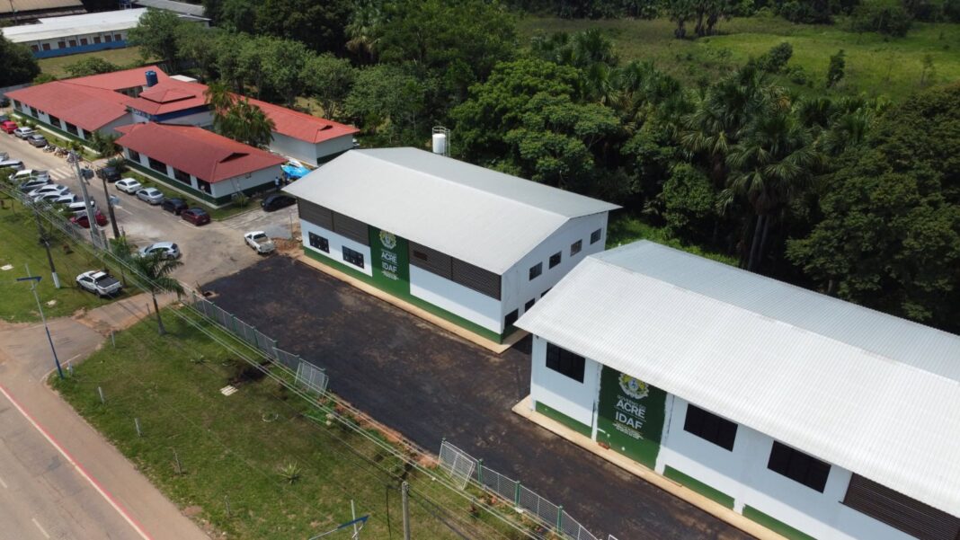 instituto de-defesa-agropecuaria-e-florestal encerra-2024 com-saldo-positivo-e-perspectiva-de-avanco-no setor-agropecuario