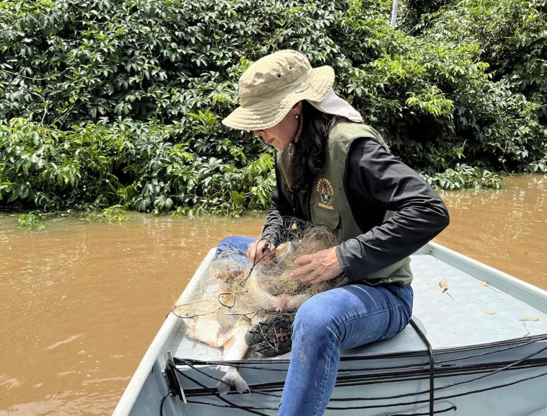 apos-denuncia,-imac-e-bpa-apreendem-materiais-de-pesca-proibidos-durante-o-periodo-de-defeso