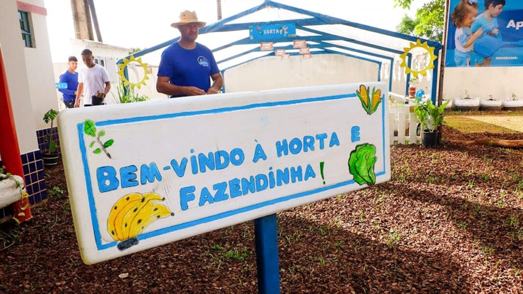 hortas-e-fazendinhas:-educacao,-sustentabilidade-e-aprendizado-pratico-nas-escolas-de-rio-branco