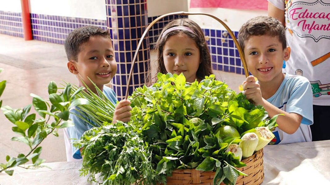 hortas-e-fazendinhas:-educacao,-sustentabilidade-e-aprendizado-pratico-nas-escolas-de-rio-branco