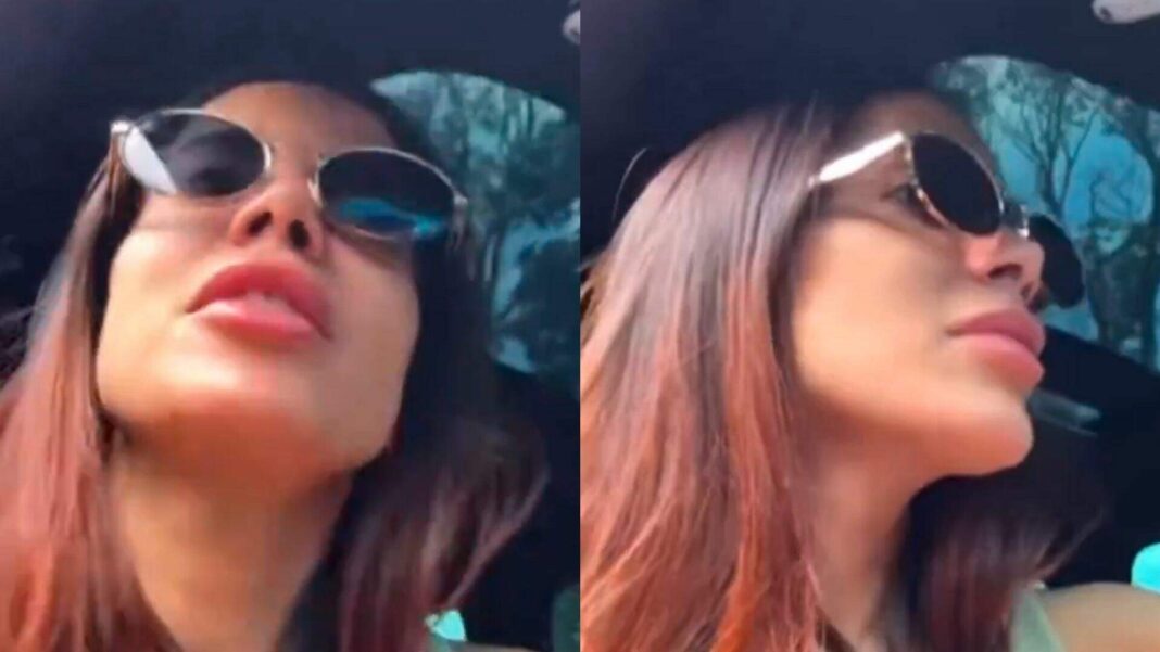 anitta-continua-em-busca-de-charlie,-seu-cachorrinho-desaparecido