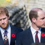 Autora revela detalhes sobre relação de Harry e William antes da morte da princesa Diana