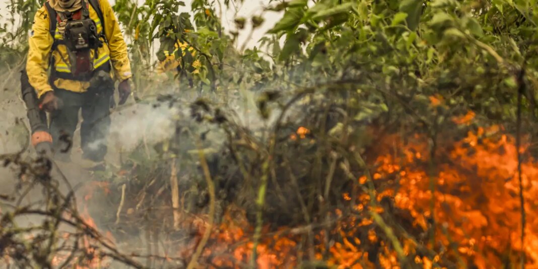 brasil-tem-1-milhao-de-focos-de-queimada-registrados-em-5-anos