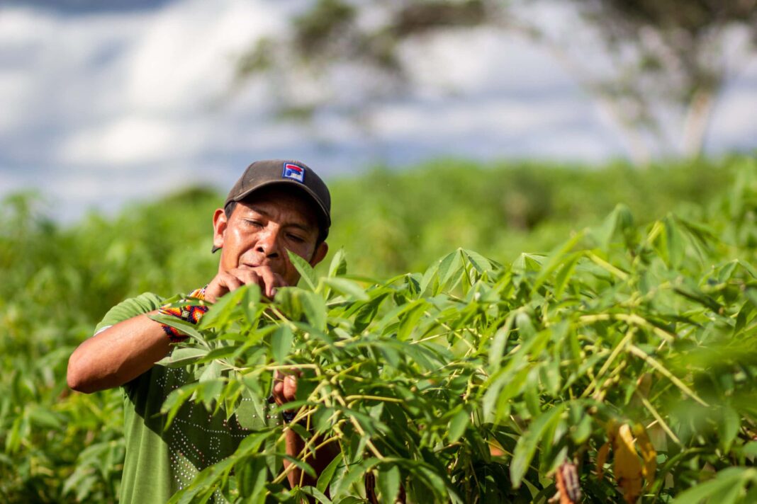 governo-do-acre-anuncia-mais-de-r$-5-milhoes-para-investimentos-em-gestao-territorial,-ambiental-e-enfrentamento-as-mudancas-climaticas-em-terras-indigenas